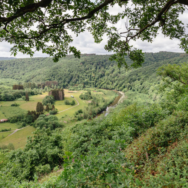 point de vue du Jambon de la Semois  - photo : Christophe Danaux