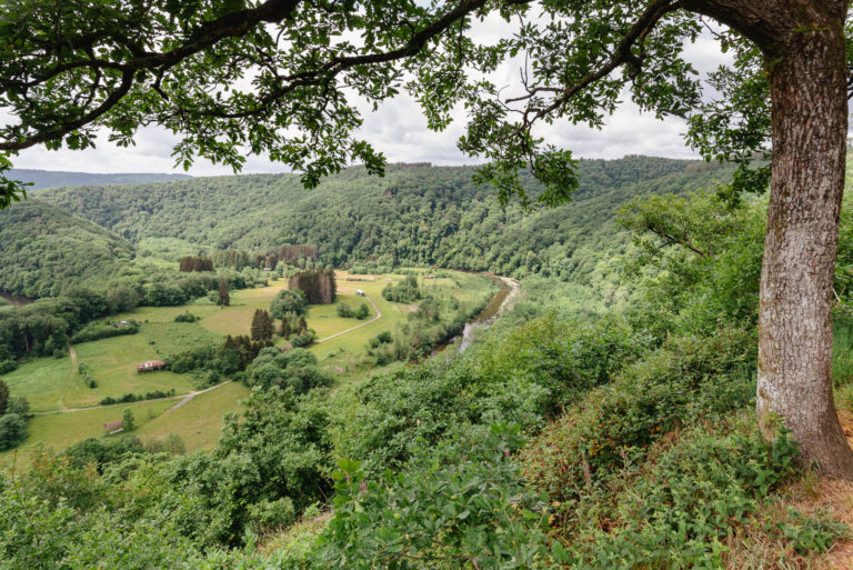 point de vue du Jambon de la Semois  - photo : Christophe Danaux
