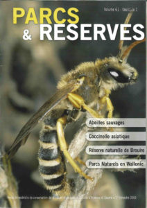 Abeilles sauvages - Coccinelle asiatique - Réserve naturelle de Brouire - Parcs Naturels en Wallonie