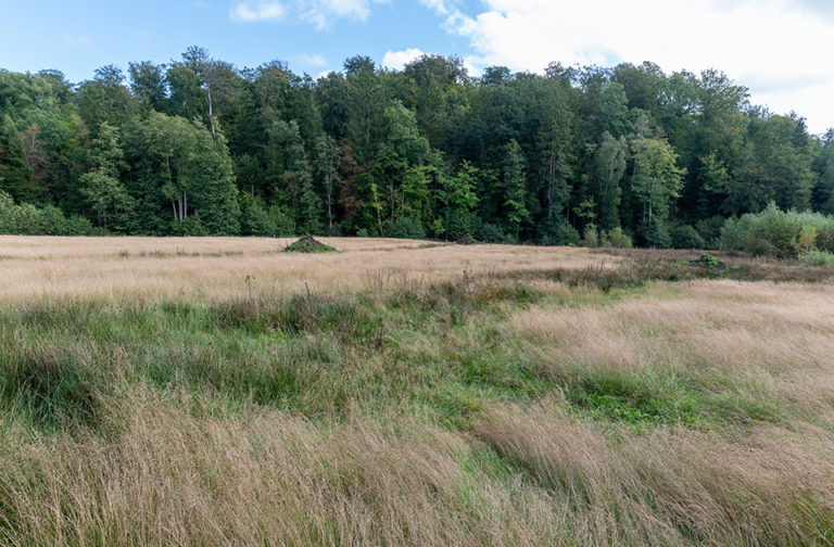 Réserve naturelle du Ruisseau de Léglise - Christophe Danaux
