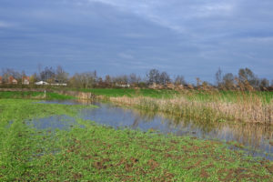 Site de Fond de Leuze - Francois Stocman